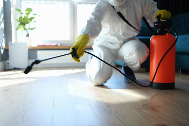 Affordable Sewage Cleanup solutions in Round Mountain, TX